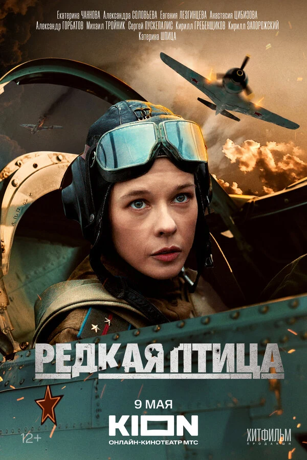 Кирилл Гребенщиков